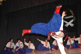 Large_thumb_4_dsc_0010